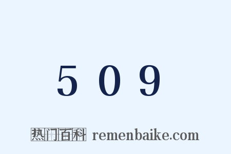 509是什么意思的图片